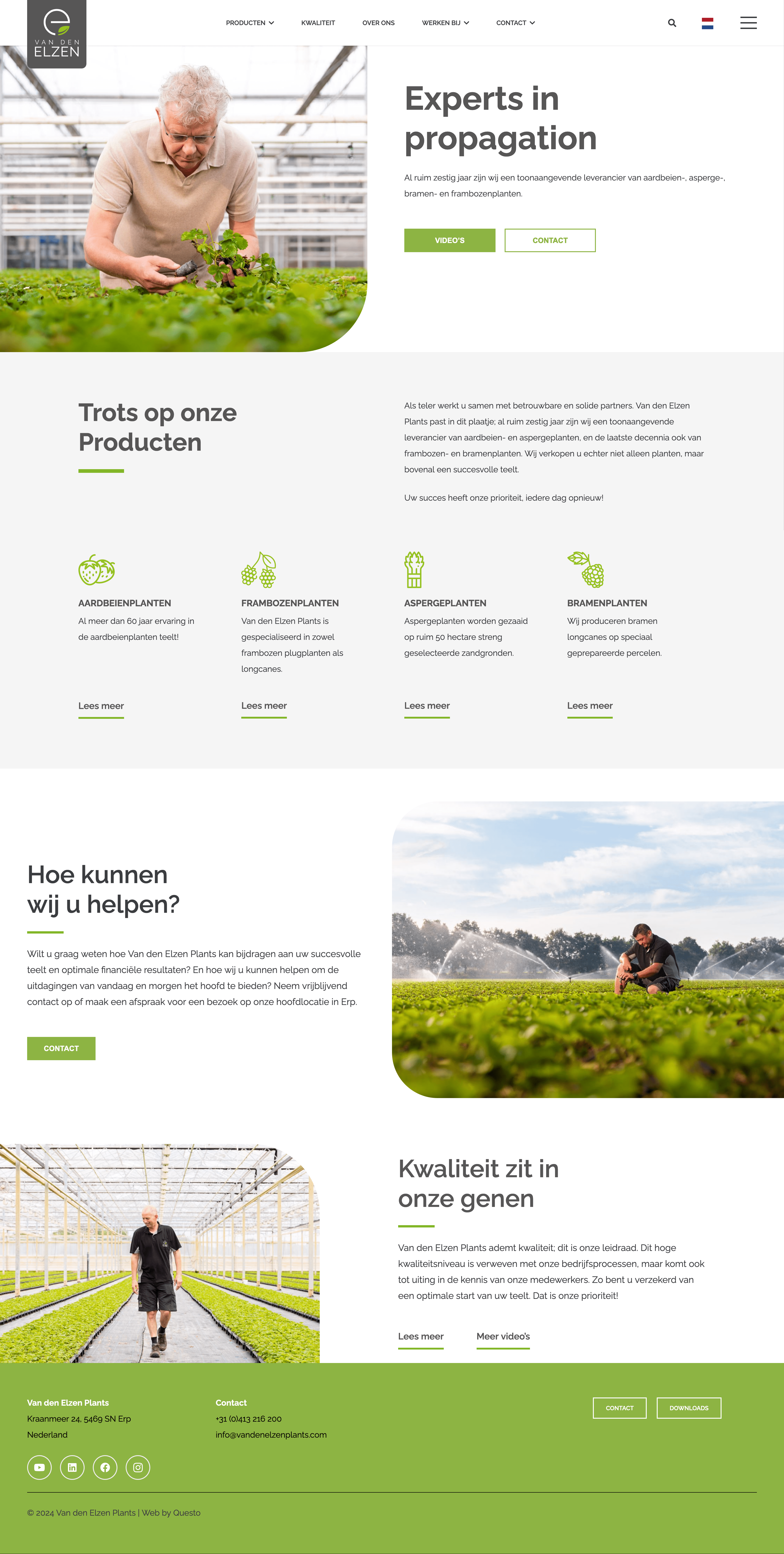 Website van den Elzen Plants